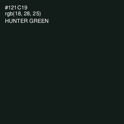 #121C19 - Hunter Green Color Image